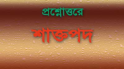 Read more about the article প্রশ্নোত্তরে শাক্তপদ || রামপ্রসাদ সেন || কমলাকান্ত ভট্টাচার্য