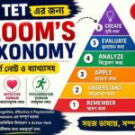 (Bloom’s Taxonomy) PDF