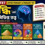 TET (CDP) || বুদ্ধি এবং এর বিভিন্ন তত্ত্ব | PDF
