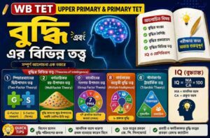 বুদ্ধির-তত্ত্ব