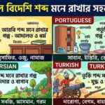 আরবি, ফার্সি, পর্তুগিজ ও তুর্কি শব্দগুলো মনে রাখার মনে রাখার জন্য গল্প PDF