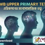 WB UPPER PRIMARY TET: এরিকসনের মনোসামাজিক তত্ত্ব | Psychosocial Development Theory