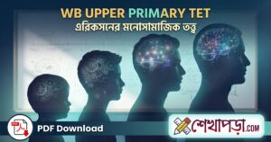 Psychosocial Development Theory